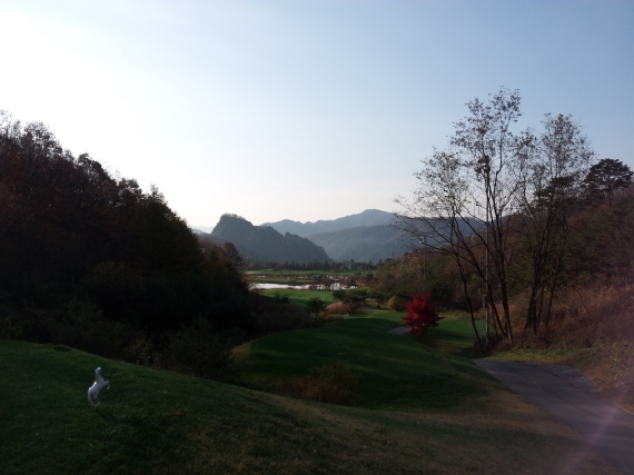 2014\1110\2014111065829451_B.jpg