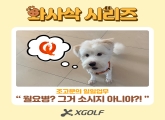 [Ͼ] 亴? װ ҽ ƴϾ?