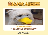 [Ͼ] ϰ ϼ?