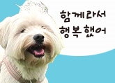 츮  ڼ ں ȸ