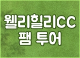  CC  