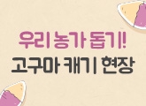 츮  !  ĳ 