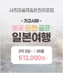 ������ ���ɿ�õ���� �Ϻ�����