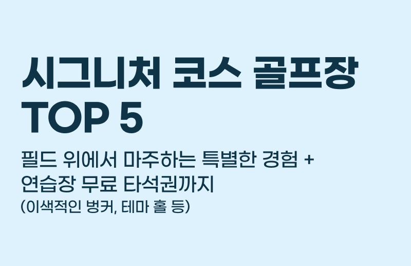 �ñ״�ó �ڽ� ������ TOP5