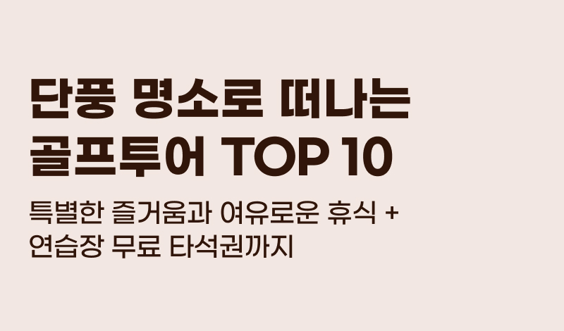 ���� ������ �� ���� �������� TOP10