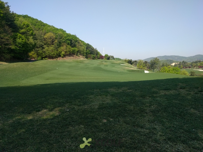 [������Ʈ��] �̿��ı�