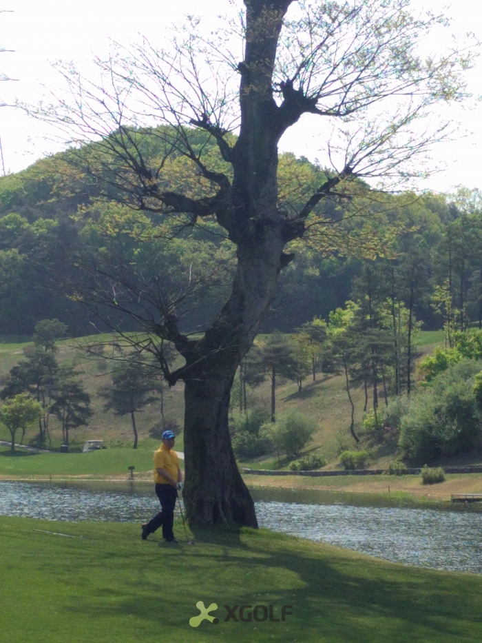 [������Ʈ��] �̿��ı�