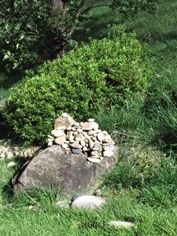 [������Ʈ��] �̿��ı�