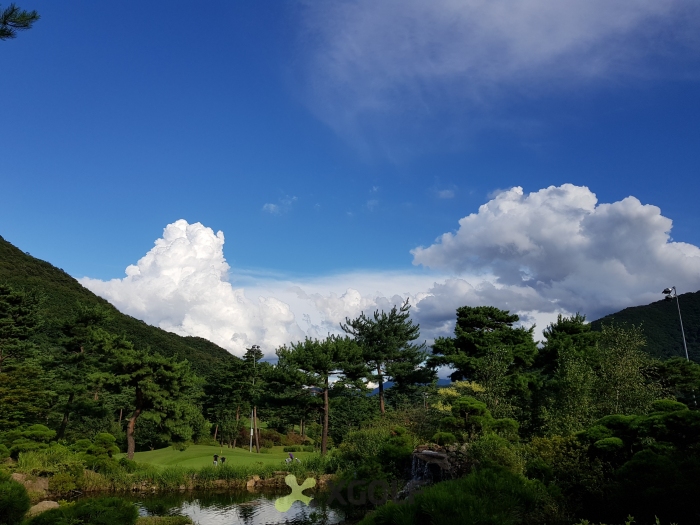 [������ƾ�븮] �̿��ı�