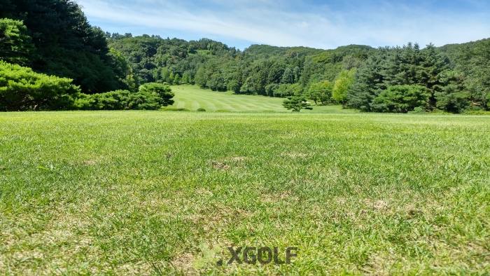 [������] �̿��ı�