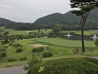 [���ǾƱ׸�] �̿��ı�