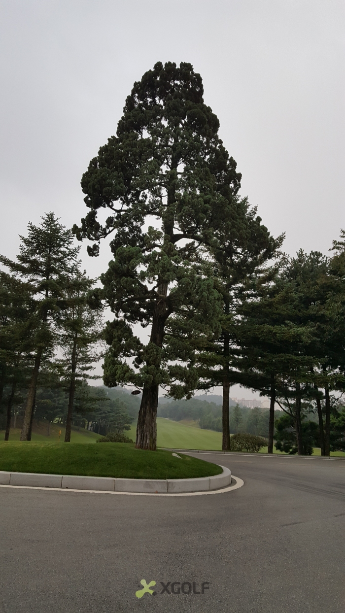 [�Ѽ�] �̿��ı�