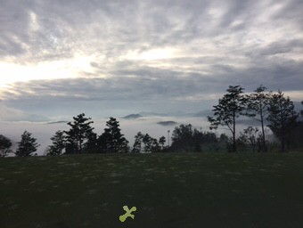 [���ε���] �̿��ı�