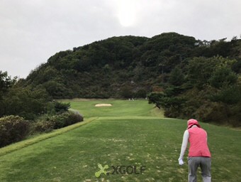 [����] �̿��ı�