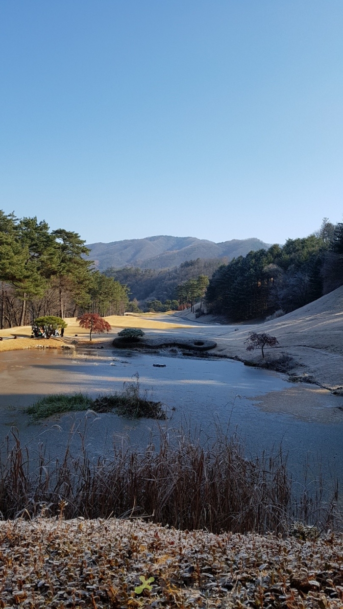[ũ����Ż�븮 ] �̿��ı�