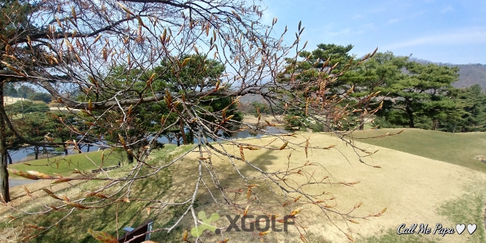 [�Ѹ�����] �̿��ı�