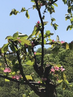 [��������] �̿��ı�