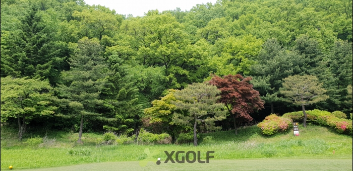 [������] �̿��ı�