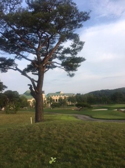 [������Ʈ��] �̿��ı�