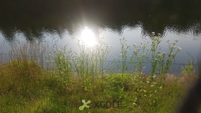 [����] �̿��ı�