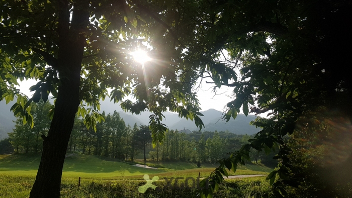 [����] �̿��ı�