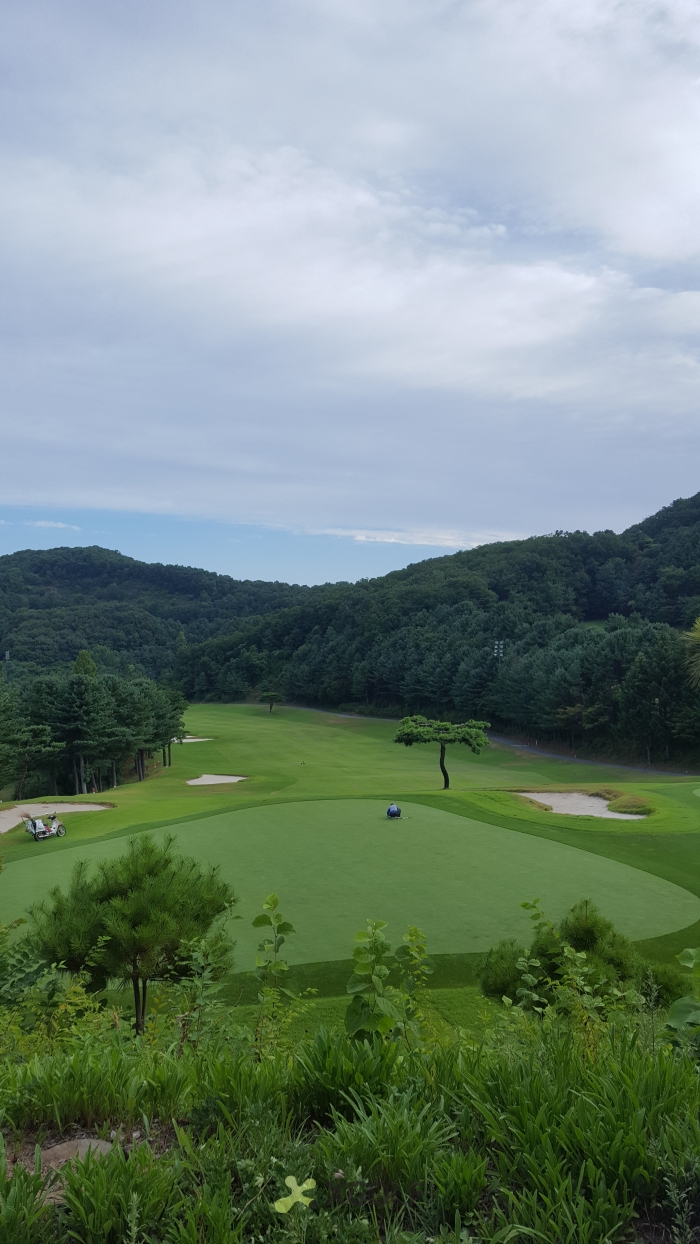 [88] �̿��ı�