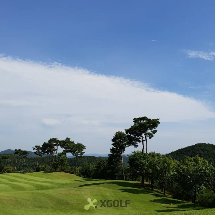 [���ǾƱ׸�] �̿��ı�