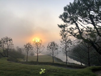 [������] �̿��ı�