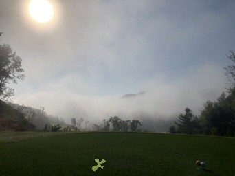 [������] �̿��ı�