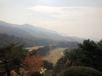 [�Ѹ�����] �̿��ı�