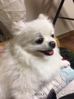 [������Ʈ��] �̿��ı�