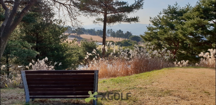 [�Ѹ�����] �̿��ı�