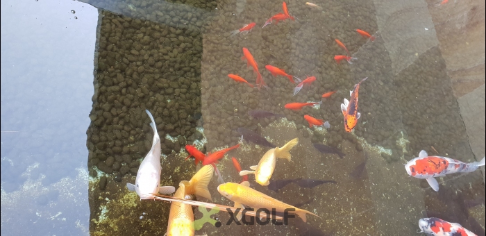 [�Ѹ�����] �̿��ı�