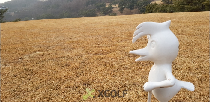 [�Ѹ�����] �̿��ı�