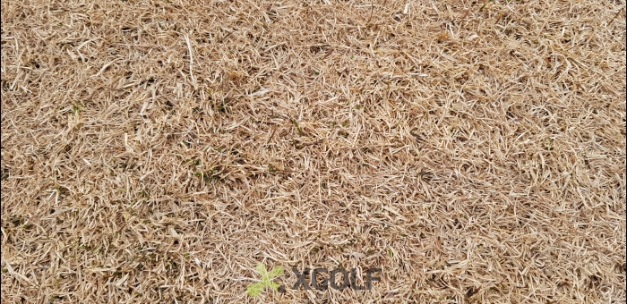 [�Ѹ�����] �̿��ı�