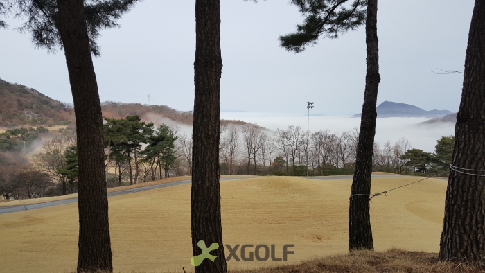 [����TPC] �̿��ı�