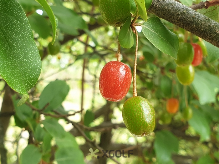 [��������] �̿��ı�