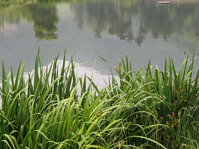 [��������] �̿��ı�