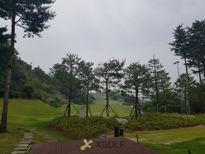 [��������] �̿��ı�