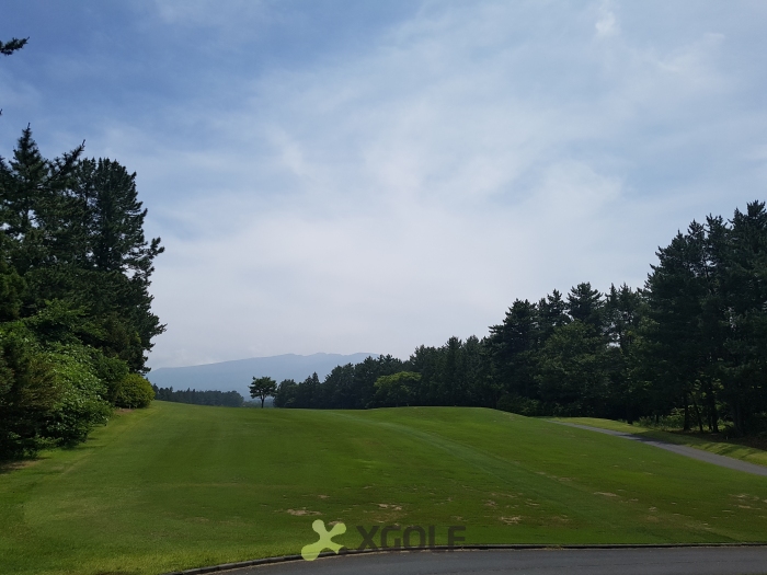 [����TPC] �̿��ı�