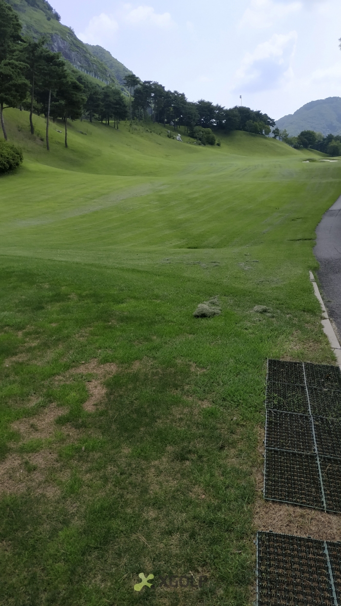 [����TPC] �̿��ı�