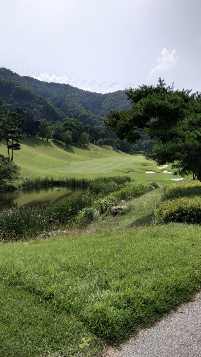 [����TPC] �̿��ı�