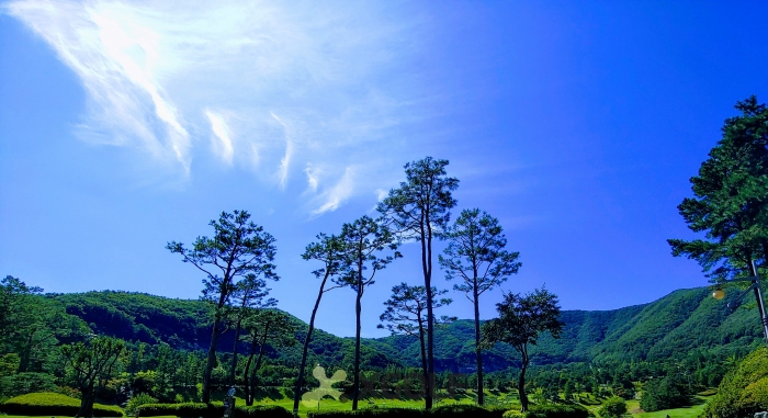 [������ī��Ƽ õ��] �̿��ı�