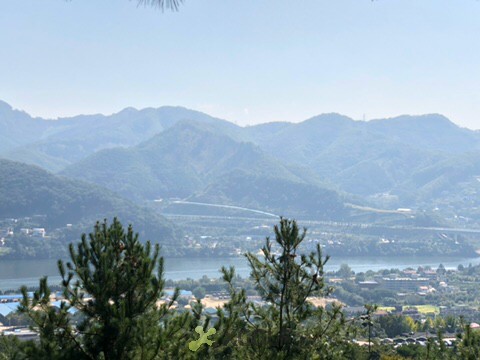 [����] �̿��ı�