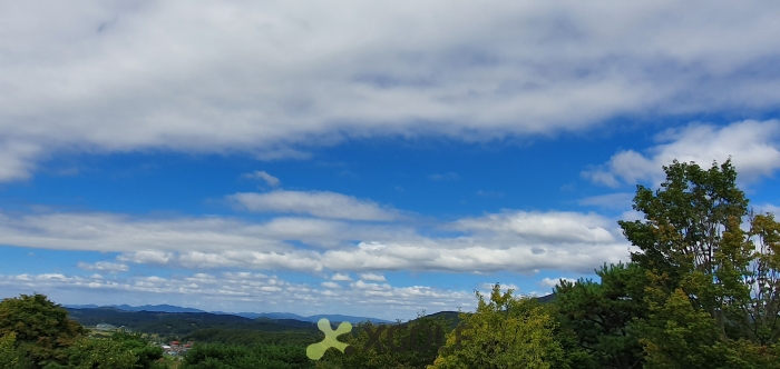 [�ȼ�] �̿��ı�