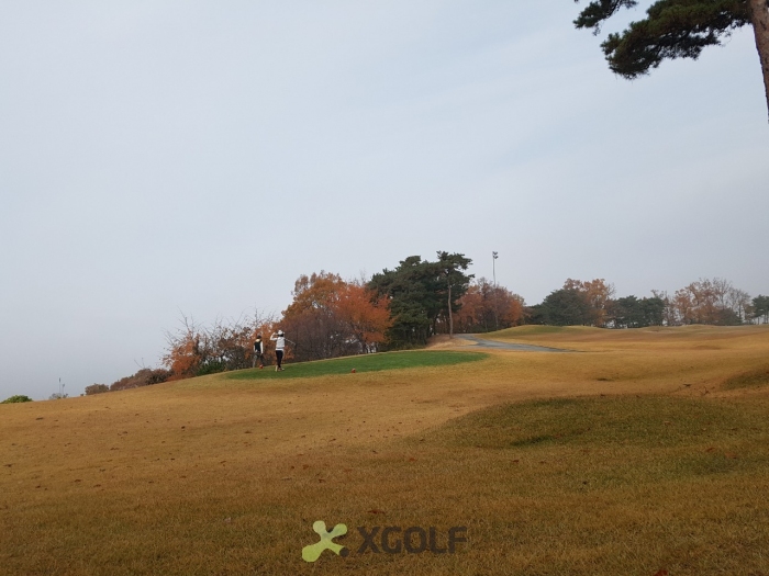 [����TPC] �̿��ı�