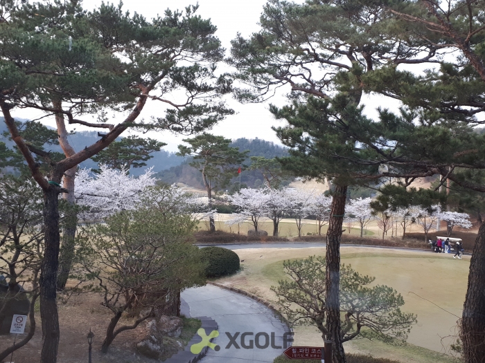 [����] �̿��ı�