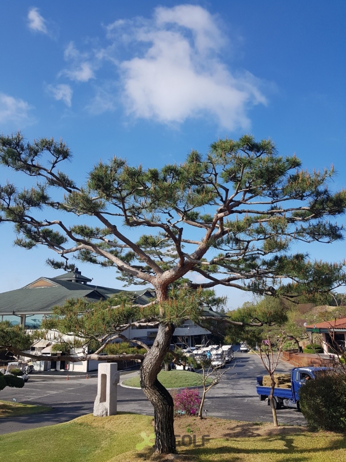 [YJC����Ŭ��(�� ����)] �̿��ı�