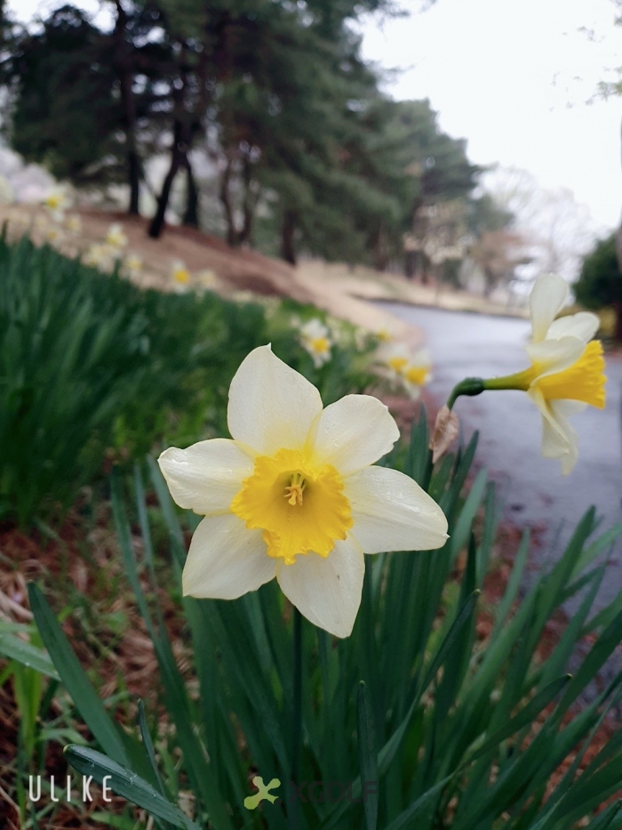 [����TPC] �̿��ı�