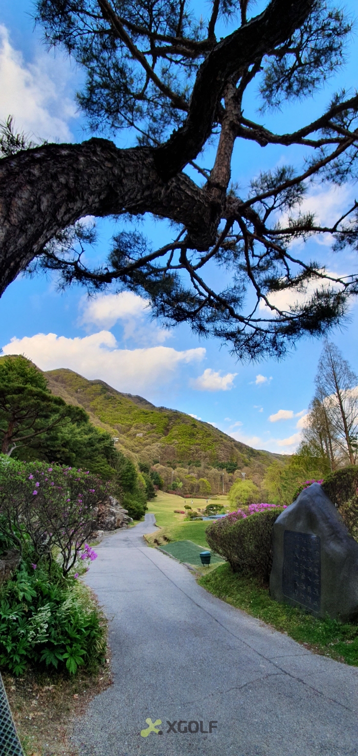 [������ƾ�븮] �̿��ı�